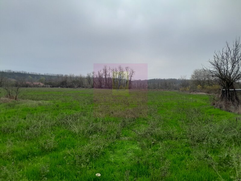 BARCANESTI (IL) - SE VINDE CASA + TEREN 16K MP