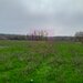 BARCANESTI (IL) - SE VINDE CASA + TEREN 16K MP